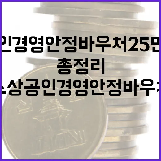 소상공인 경영안정 바우처 25만원 지원 총정리