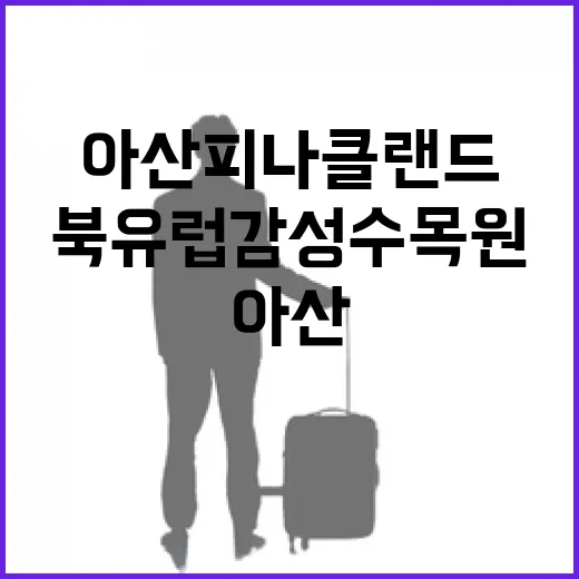 아산 피나클랜드, 북유럽 감성 수목원의 비밀