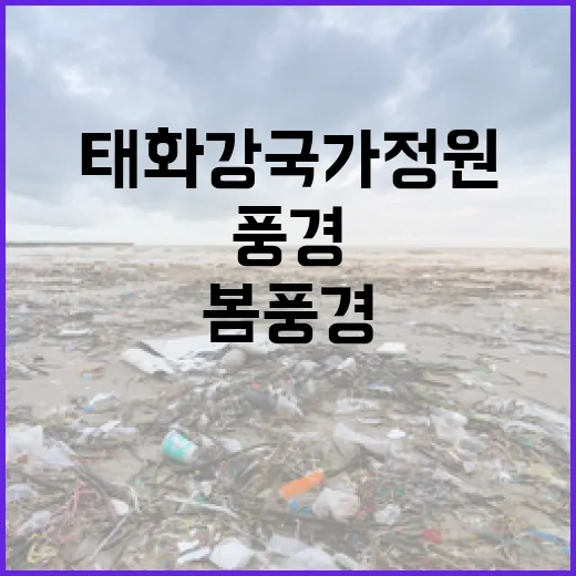 태화강 국가정원 순환길의 봄 풍경