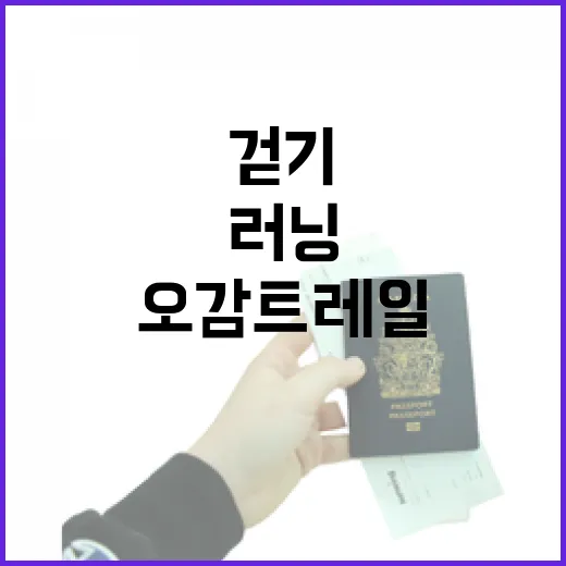 원주에서 만나는 오감 트레일 러닝과 걷기