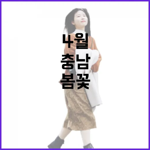 봄꽃 만발 충남 4월 축제 총정리