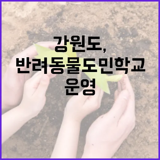 강원도, 반려동물 도민학교 본격 운영