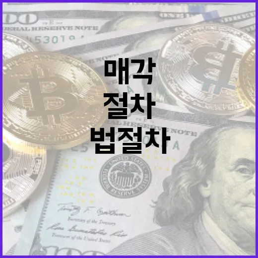 볼레오 광산 매각, 법 절차 따라 진행됐다