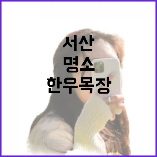 서산한우목장 산책로, 자연과 힐링의 명소