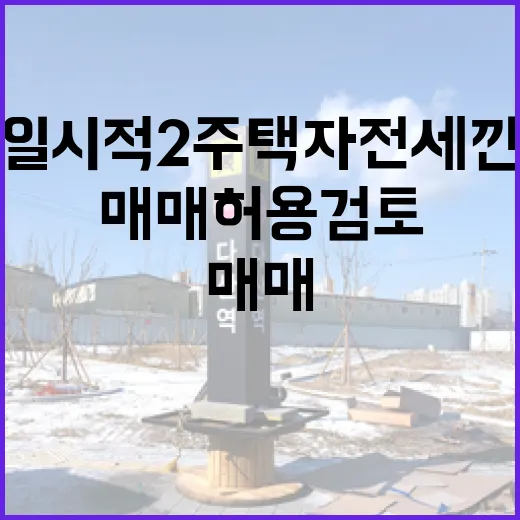 일시적 2주택자 전세 낀 주택 매매 허용 검토 안 해