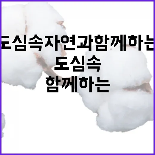 도심 속 자연과 함께하는 작은 실천