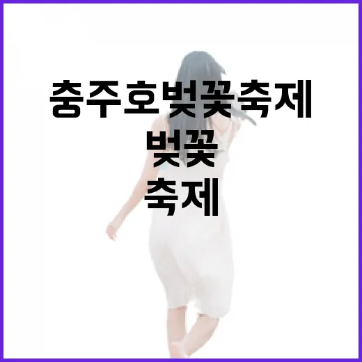 충주호 벚꽃축제, 호수와 꽃의 환상적 만남