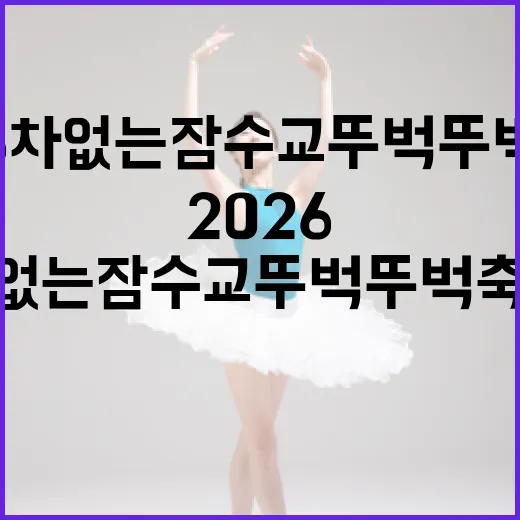 2026 차 없는 잠수교 뚜벅뚜벅 축제 완벽 가이드