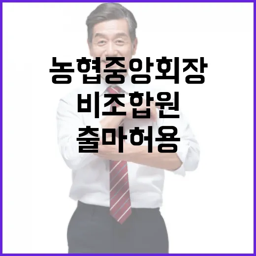 비조합원 농협중앙회장 출마 허용은 사실무근