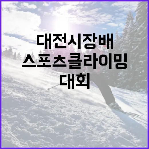 대전시장배 스포츠클라이밍 대회 현장 스케치