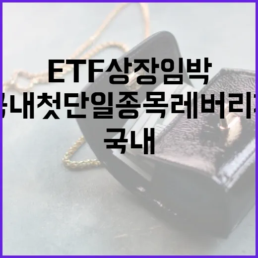 내달 국내 첫 단일종목 레버리지 ETF 상장 임박