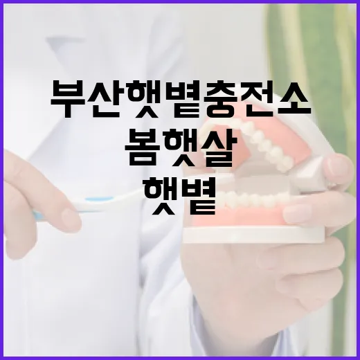 부산 햇볕충전소, 봄햇살과 함께하는 마음 건강 캠페인
