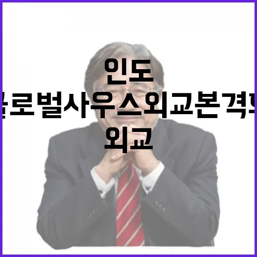 한-인도 정상회담, 글로벌 사우스 외교 본격화
