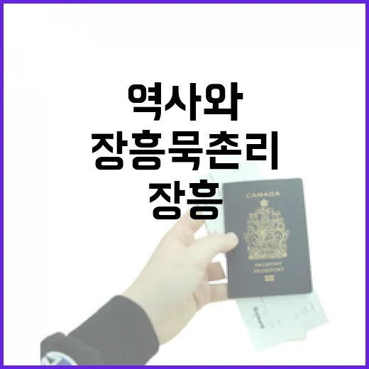 장흥 묵촌리, 역사와 동백꽃의 숨결