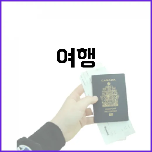 반값여행 지역사랑상품권 50% 환급