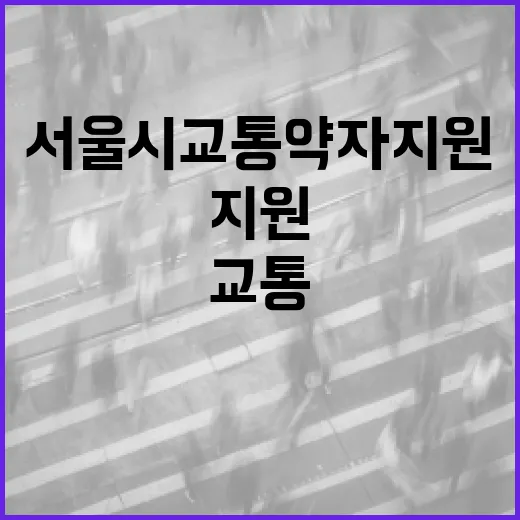 서울시 교통약자 지원 서비스 전면 확대
