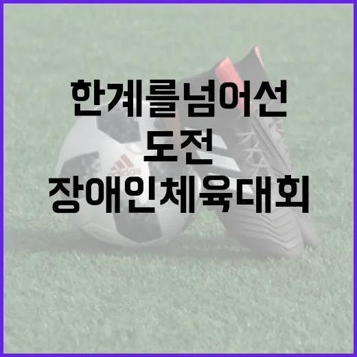 한계를 넘어선 도전, 경북장애인체육대회 개막