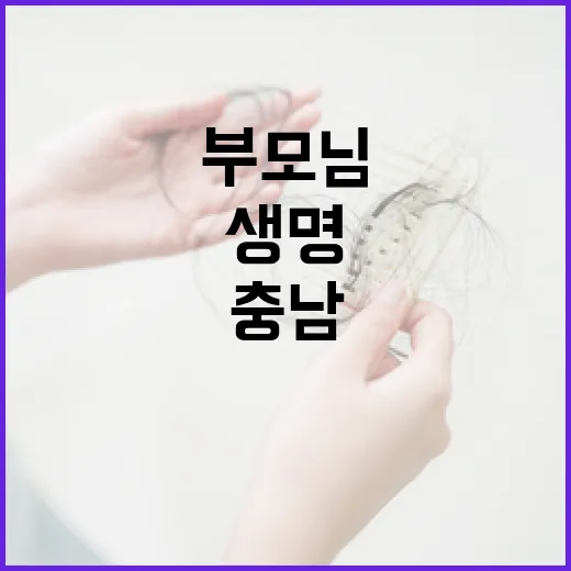 충남 119안심콜, 부모님 생명 지키는 첫걸음