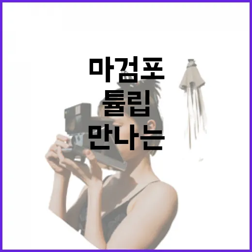 태안 마검포서 만나는 세계튤립 향연