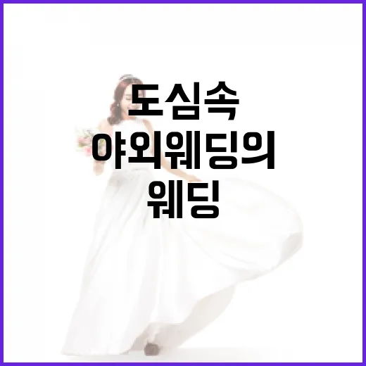 도심 속 빛의 정원 야외 웨딩의 매력