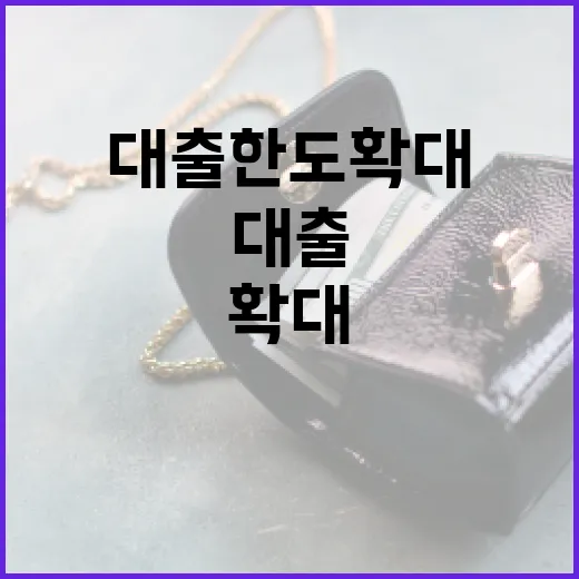 금융위, 중저신용자 대출한도 확대는 아직 미정