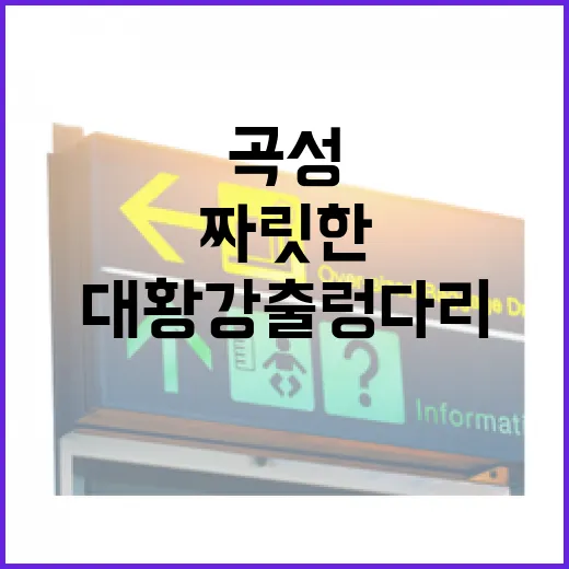 곡성 대황강 출렁다리의 짜릿한 매력