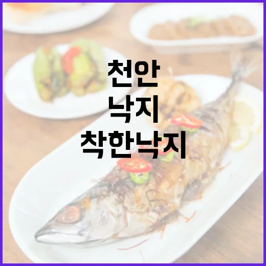 천안 착한낙지, 밥도둑 낙지덮밥의 매력