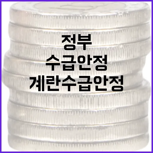 계란 수급 안정 위한 정부의 철저한 관리