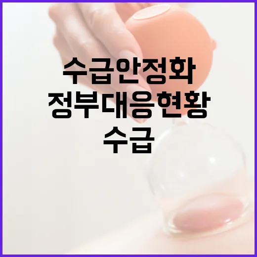 의료소모품 수급 안정화 정부 대응 현황