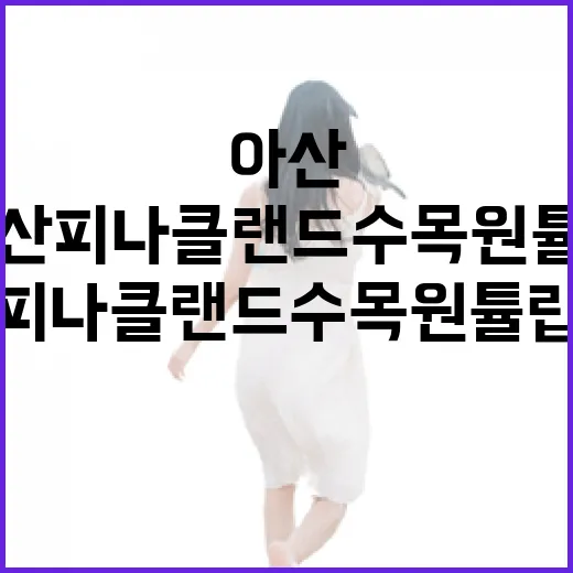 아산 피나클랜드수목원 튤립 향연