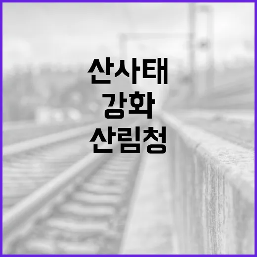 산림청, 산사태 예방 디지털 시스템 교육 강화