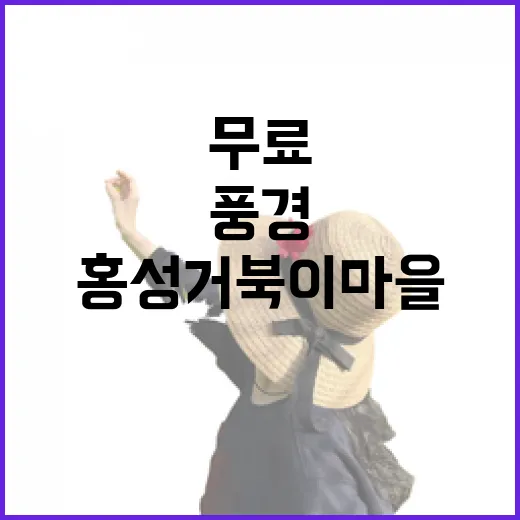 무료로 만나는 홍성 거북이마을 봄꽃 풍경