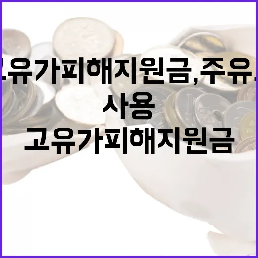 고유가 피해지원금, 주유소 사용 제한 논란