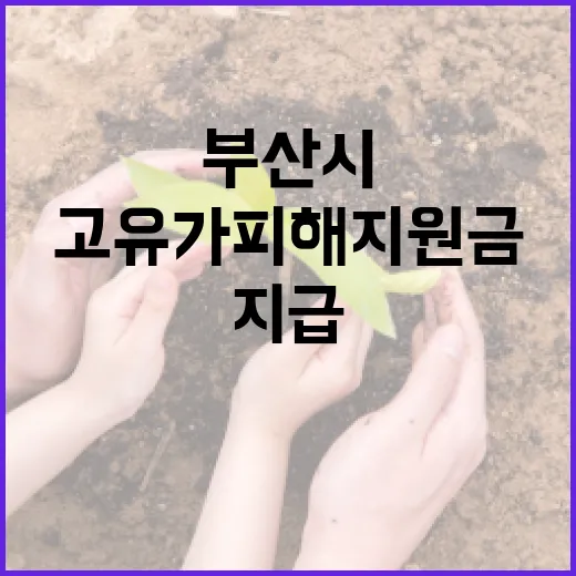 부산시, 고유가 피해지원금 본격 지급