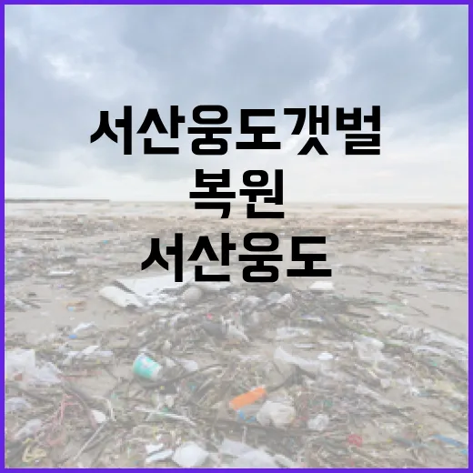 서산 웅도 갯벌 복원, 바다와 삶의 회복