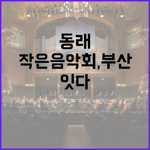 동래 작은 음악회, 부산 문화 잇다