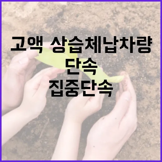 고액·상습 체납 차량 집중 단속 시작