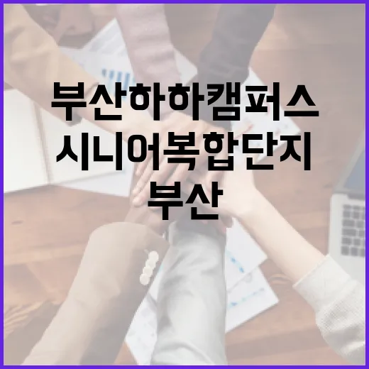 부산 하하캠퍼스, 시니어 복합단지 전면 개방