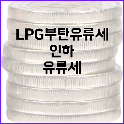 LPG 부탄 유류세 대폭 인하와 농축수산물 할인 지원