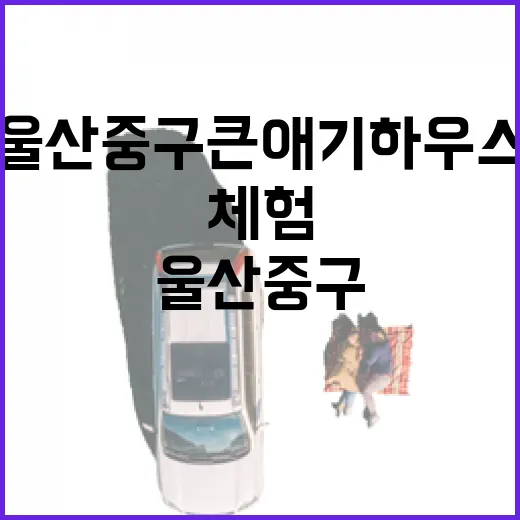 울산 중구 큰애기하우스, 관광과 체험의 명소