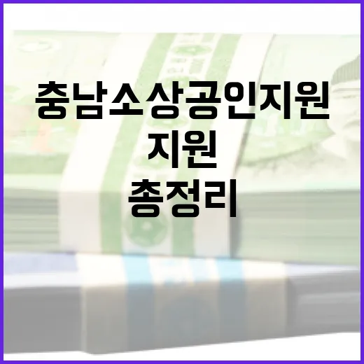 충남 소상공인 지원 혜택 총정리