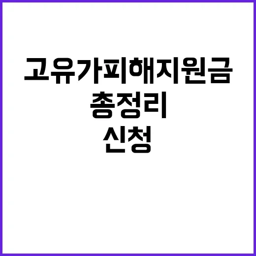 서울 고유가 피해지…