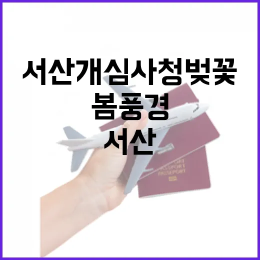 서산 개심사 청벚꽃의 신비와 봄 풍경