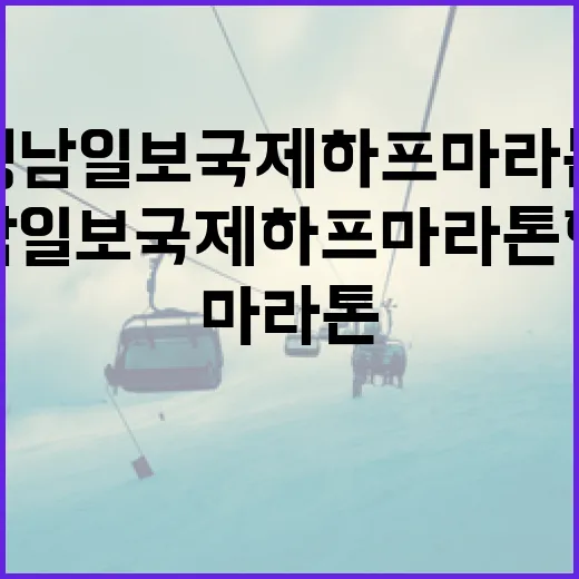 영남일보 국제 하프마라톤 현장 열기