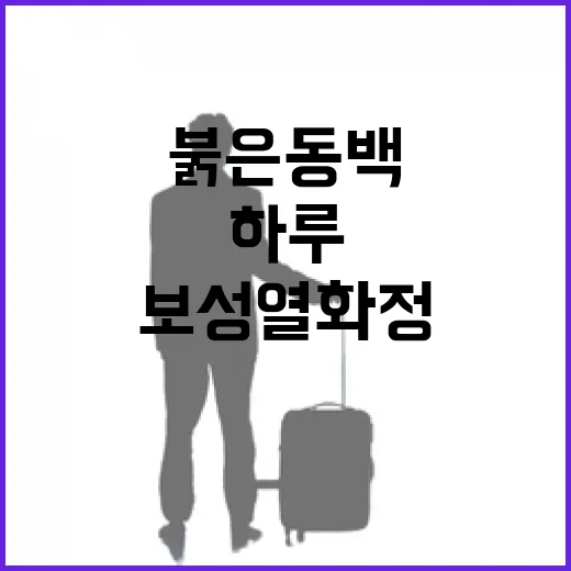 붉은 동백과 함께한 보성 열화정의 하루