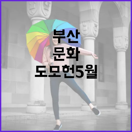 부산 도모헌 5월 문화축제 풍성