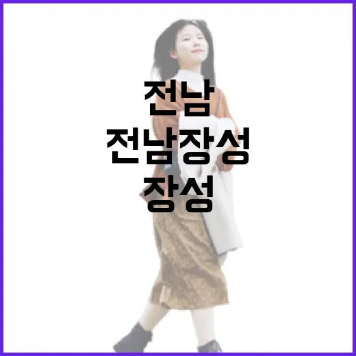 전남 장성 생활체육공원 완벽 가이드