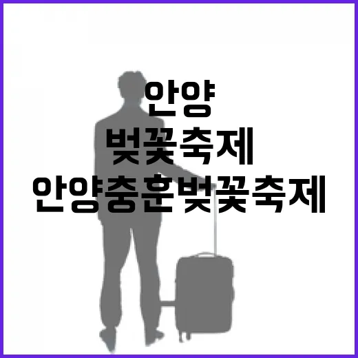 안양충훈벚꽃축제와 박물관, 봄날의 완벽한 하루