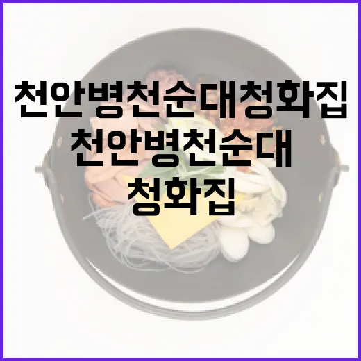 천안 병천순대 청화집 맛의 비밀