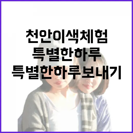천안 이색체험으로 …